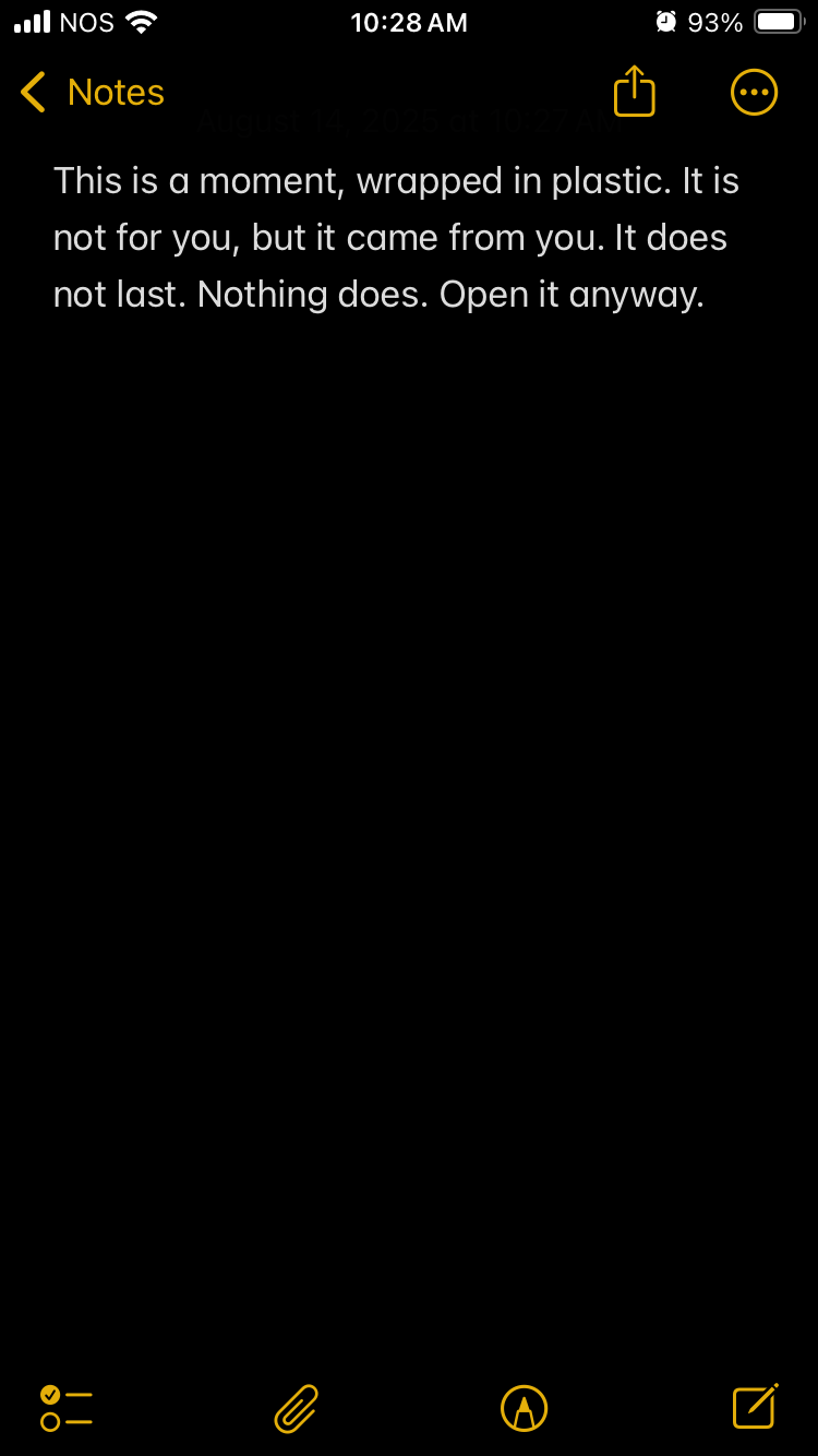 2025-06-21 IMG_6112.png