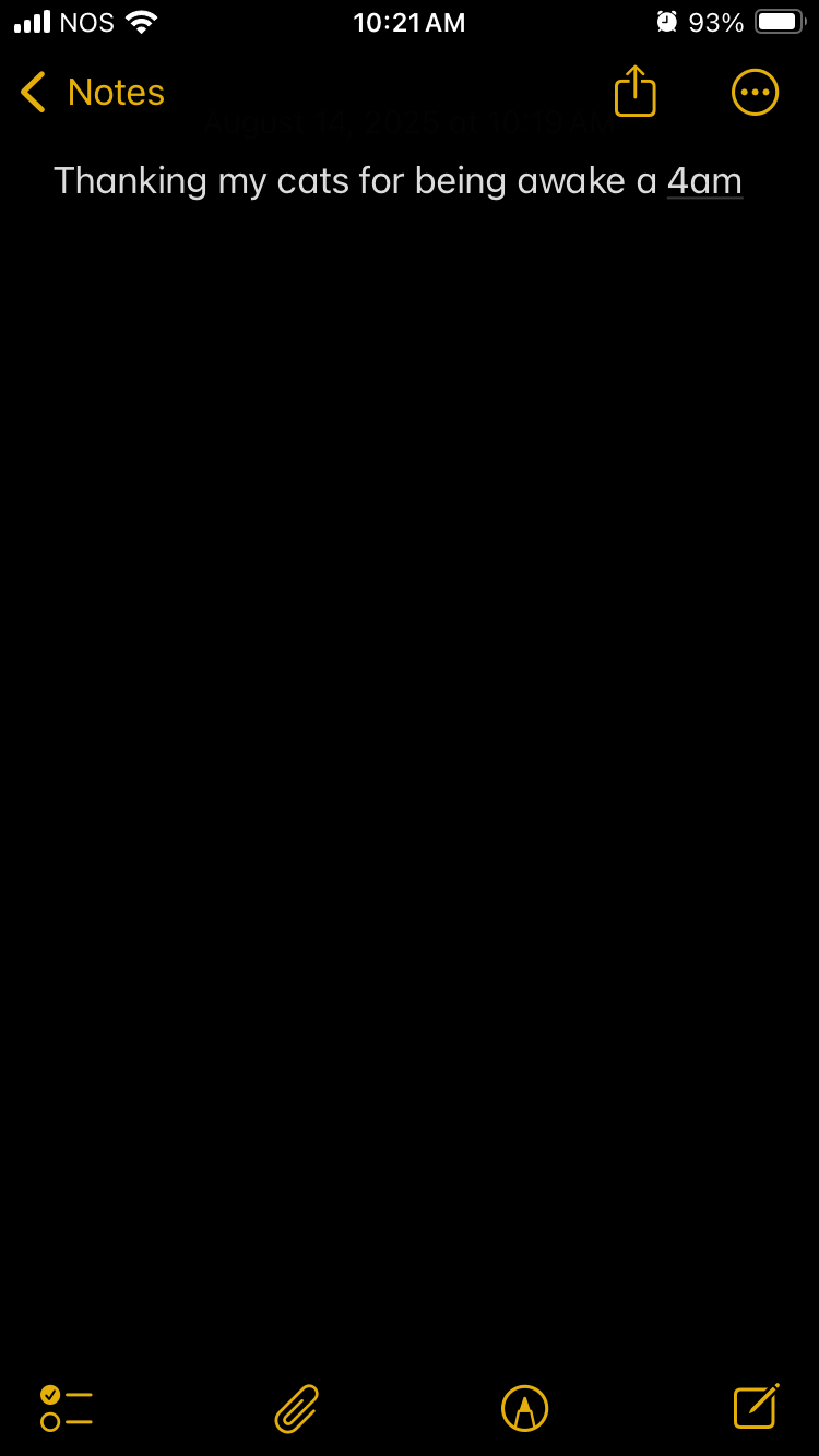 2025-08-03 IMG_6100.png